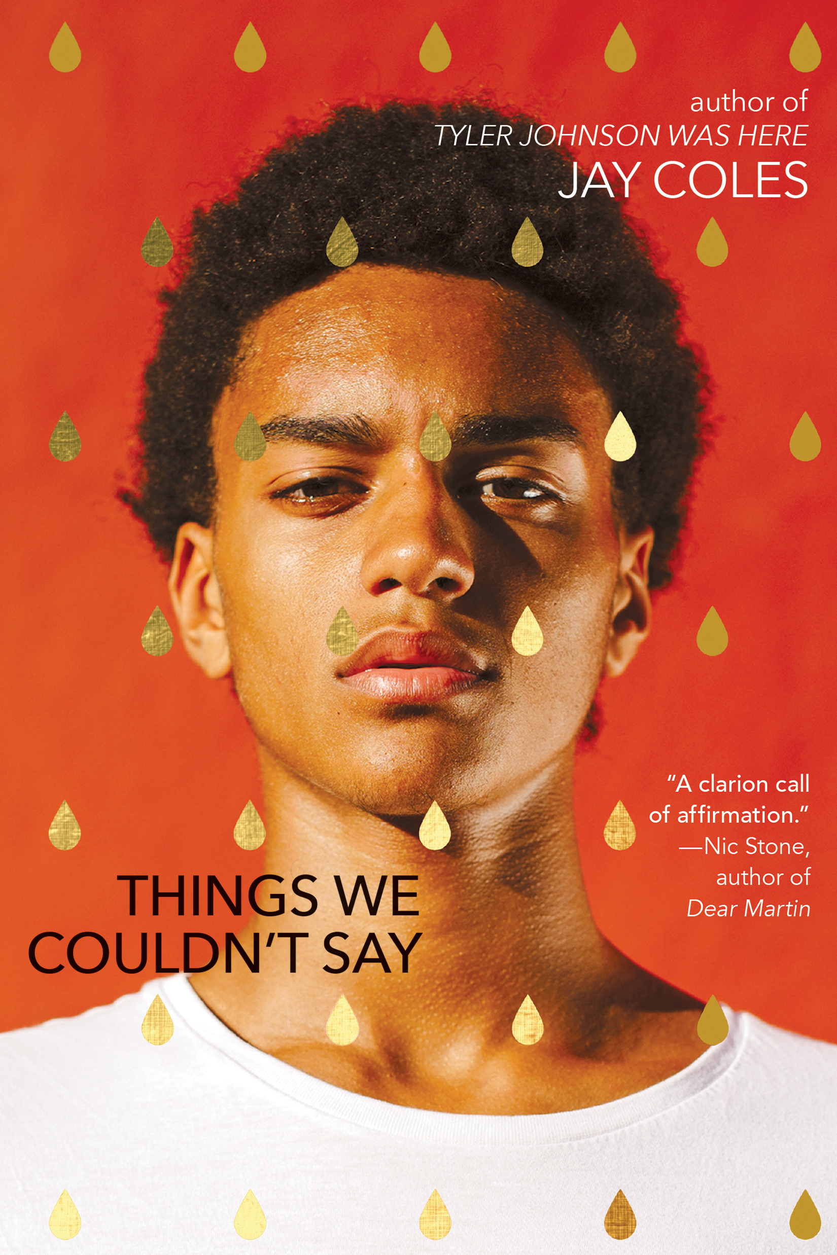 Cover for "Things We Couldn't Say"