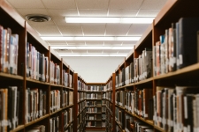 Shelves of Library Books