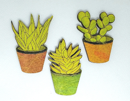 wooden succulent magnets