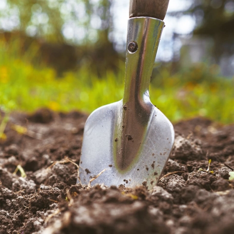 photo of a garden spade sticking in mud with green grass in the background