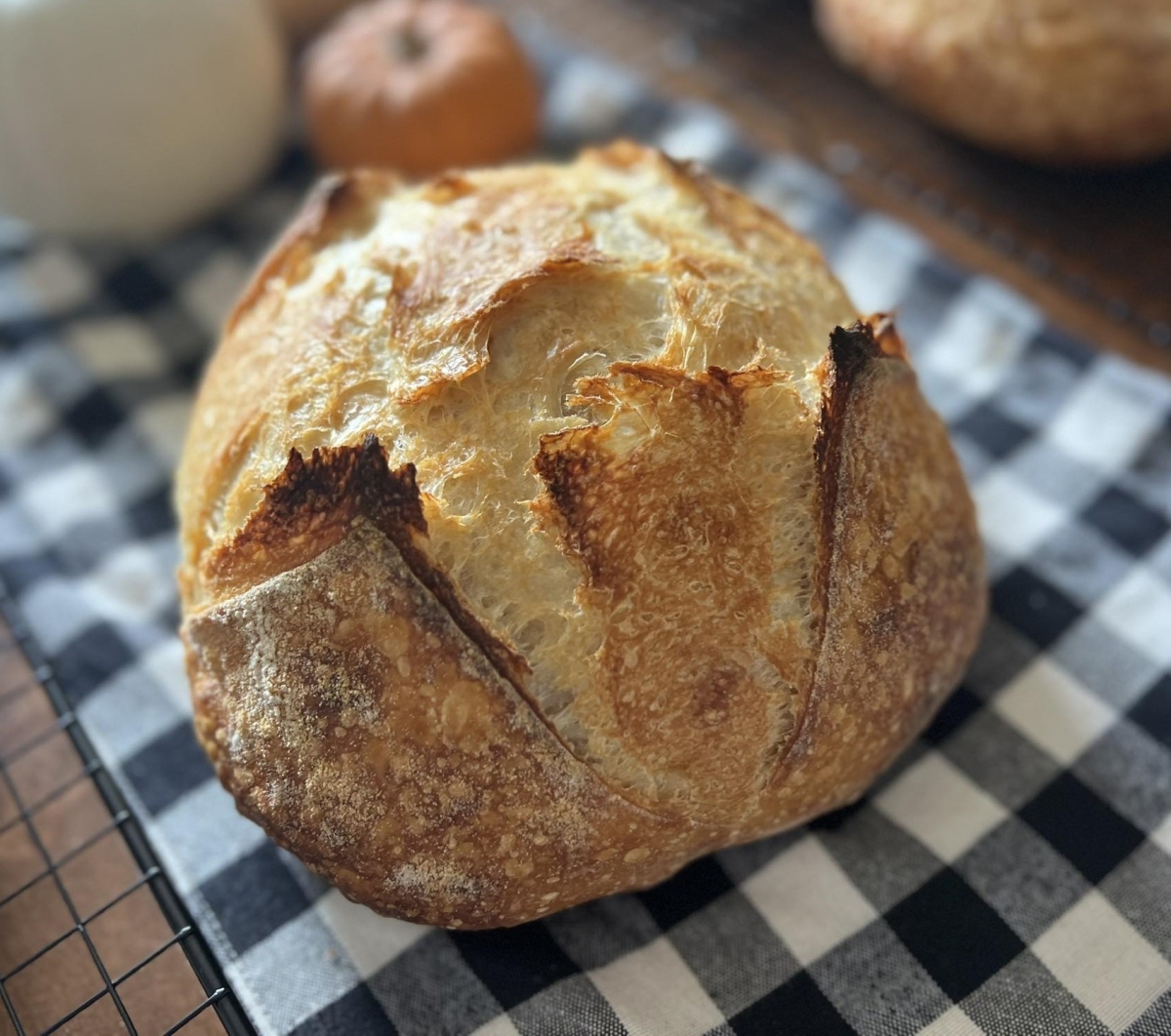 Sourdough Bread