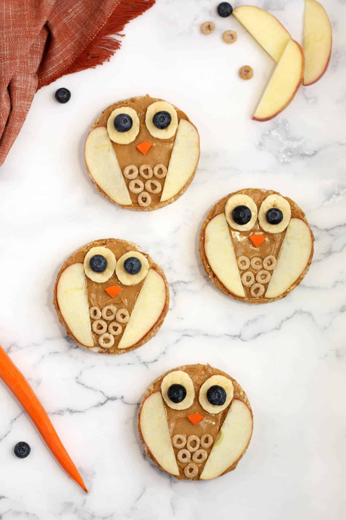 Owl Rice Cake Snacks