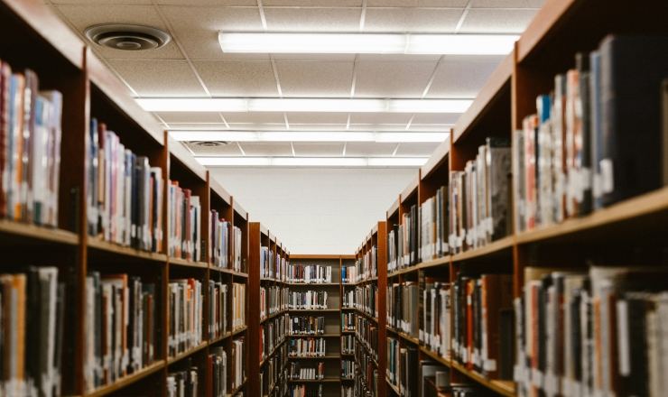 Shelves of Library Books